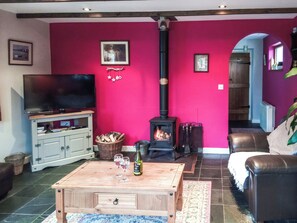 Fireplace - 3 bedroom accommodation in Nebo, near Aberaeron (Nebo, near Aberaeron)