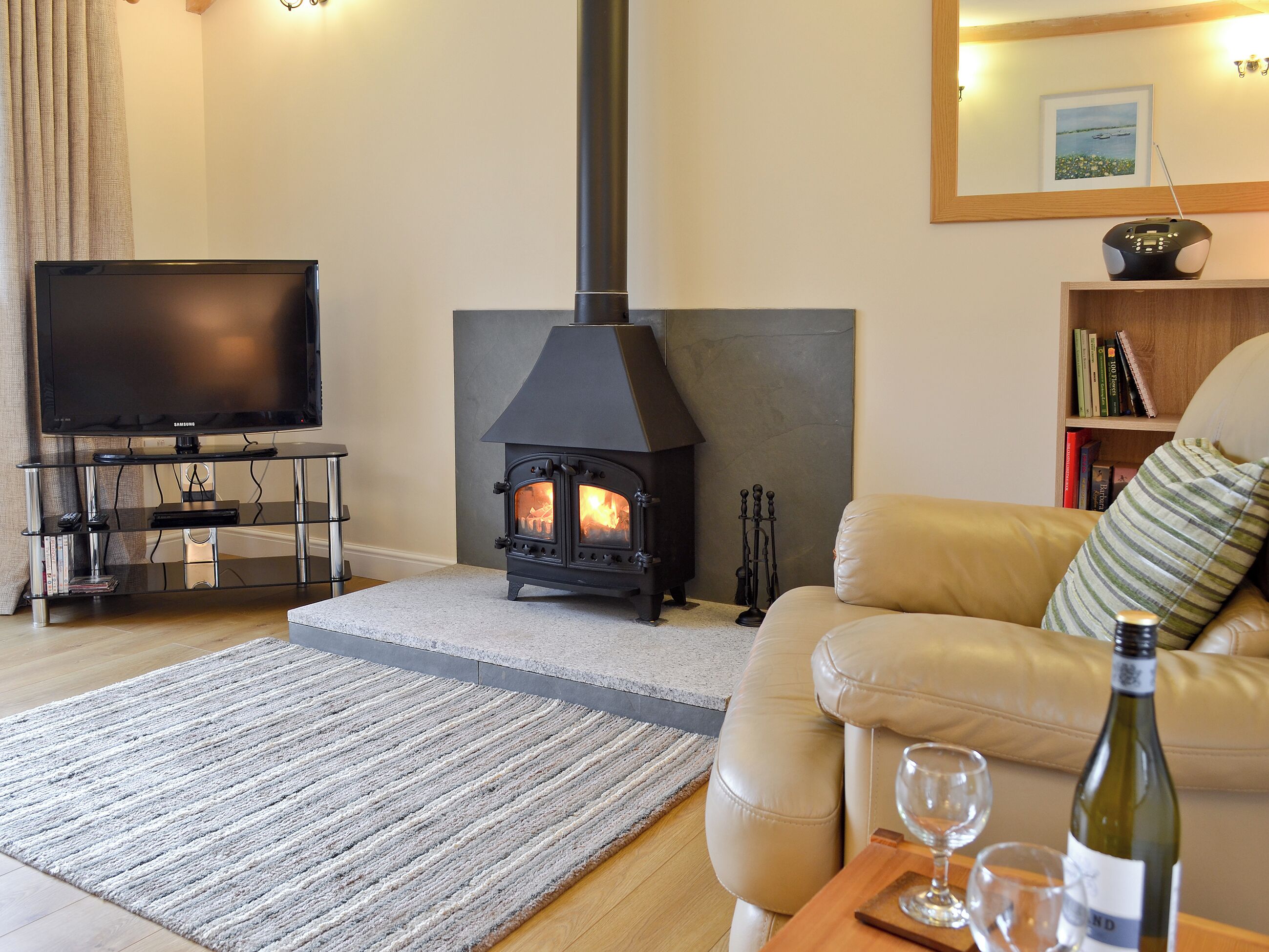 TV, fireplace