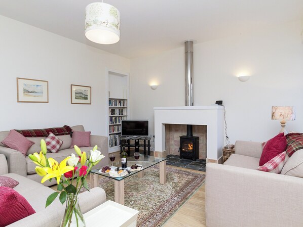 TV, fireplace