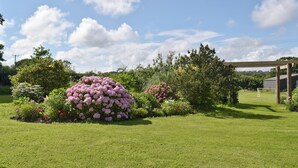 Un jardín bien cuidado con diversas plantas florecientes y un cielo azul despejado.