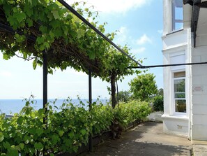 A white building with a window, a vine-covered pergola, and a view of the sea. - Seascape - St Catherine's Court (Fowey)