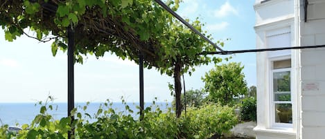 A white building with a window, a vine-covered pergola, and a view of the sea.