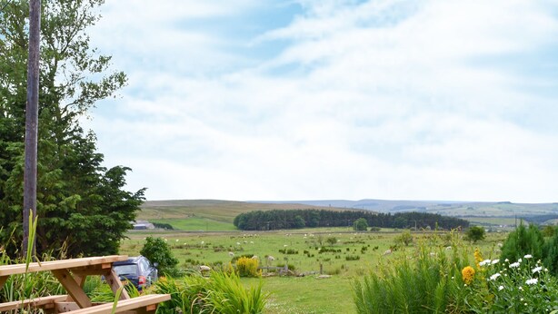Una mesa de picnic con una mochila y una botella, rodeada de follaje y con vista a un campo cubierto de hierba y ovejas.