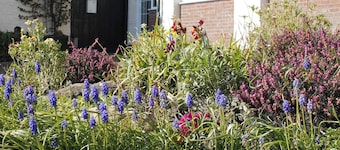 Alojamiento de 3 habitaciones en Barnstaple