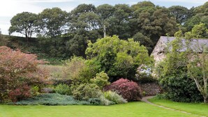 Un jardí exuberant amb diverses plantes i arbustos, una paret de pedra i un camí que condueix a un edifici amb teulada inclinada.