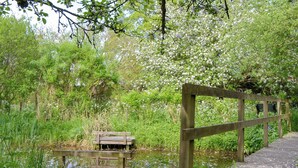 A wooden bridge over a pond with a bench and a wooden railing. - 3 bedroom accommodation in Selborne, near Alton (Selborne, near Alton)