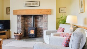 TV, fireplace - Osprey Cottage - UZQ (Meigle)