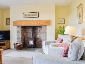 TV, fireplace - Osprey Cottage - UZQ (Meigle)