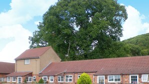 A row of brick houses with red-tiled roofs, a large tree in the background, and a wooden fence in the foreground. - 2 bedroom accommodation in Ledbury (Ledbury)