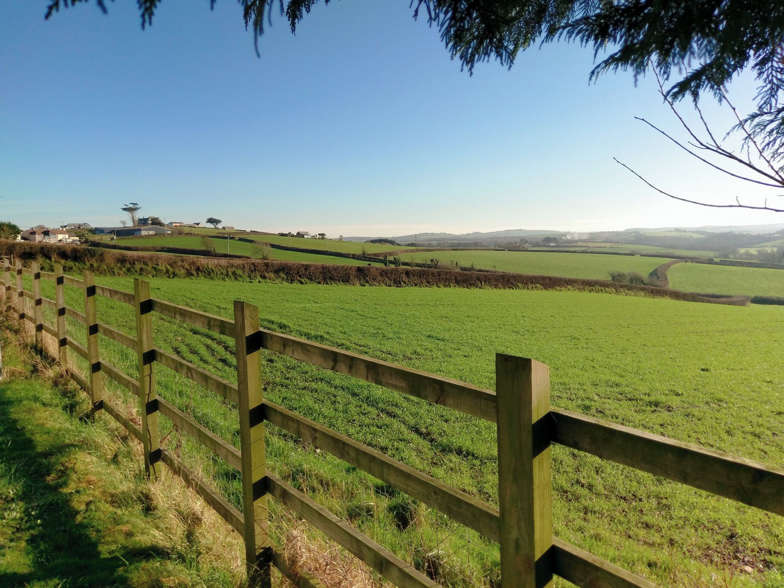 A rural landscape with a wooden fence, green fields, and distant buildings.