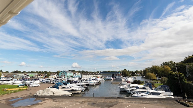 Marina - Greylag Goose - UKC2110 (Wroxham, near Norwich)