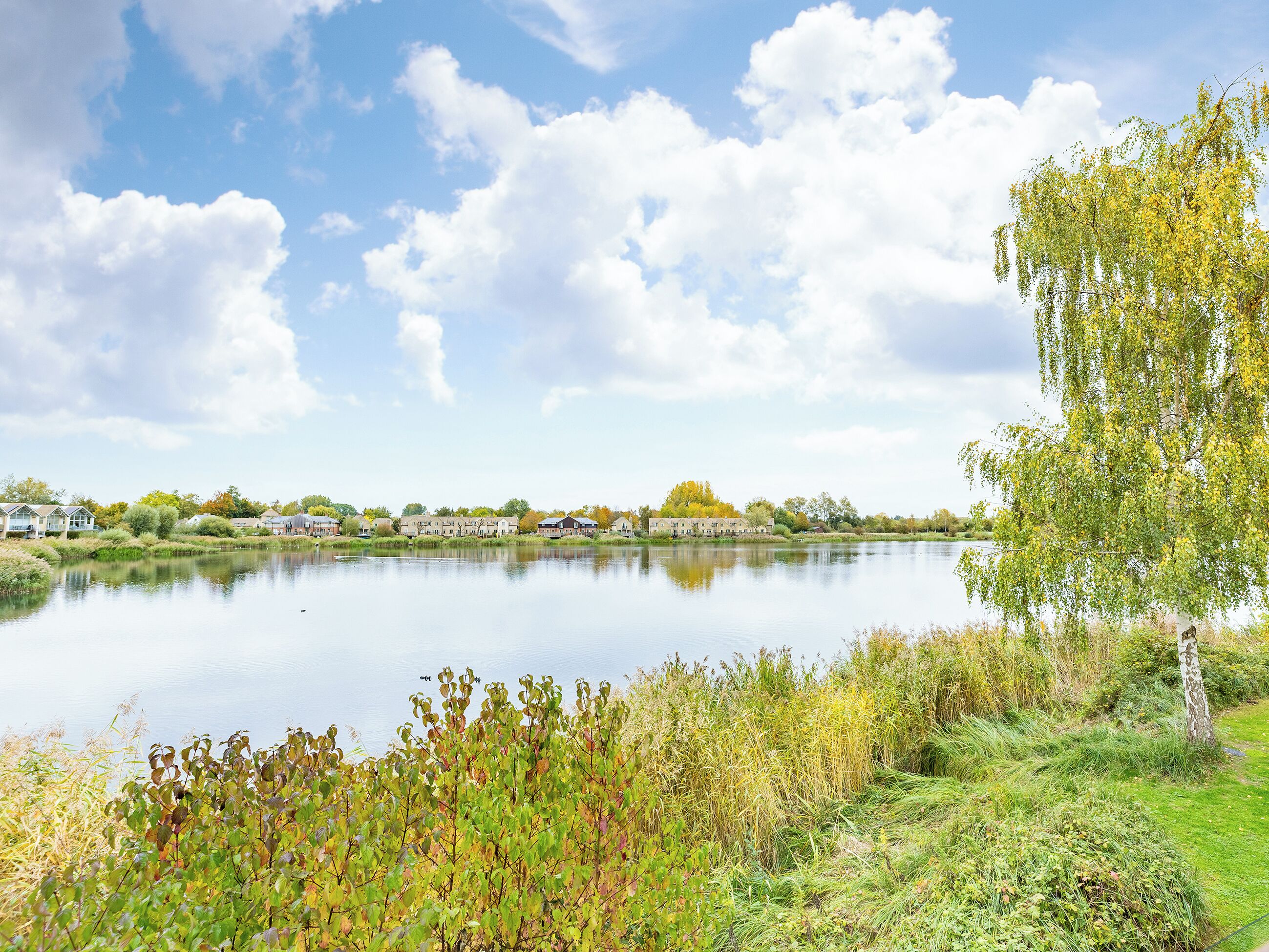 Un lac paisible, avec un ciel dégagé, entouré de verdure et bordé d’une rangée de maisons au loin.