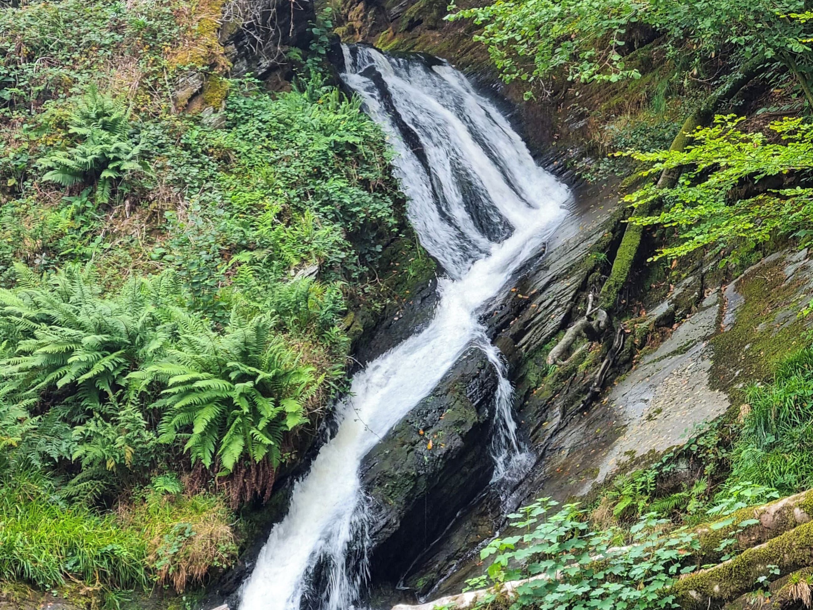 A waterfall surrounded by dense green foliage.