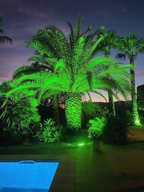 Pool - Beautiful Villa set in a delightful valley, close to Competa,Nerja and the sea. (Competa)