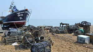 Un bote llamado 'Moss Rose' con equipo de pesca en una playa de piedras.