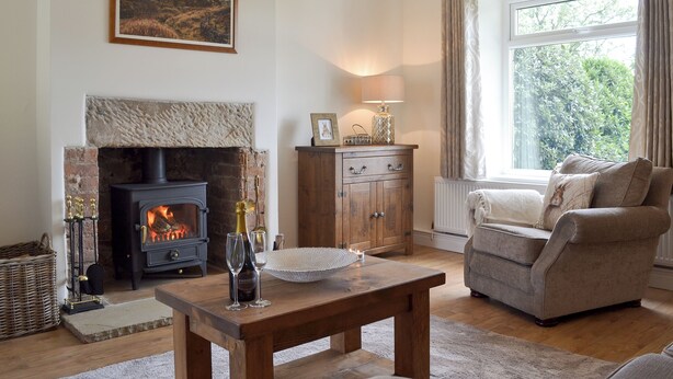 Una sala de estar acogedora con chimenea, un sofá, una mesa con vasos y una ventana con cortinas.