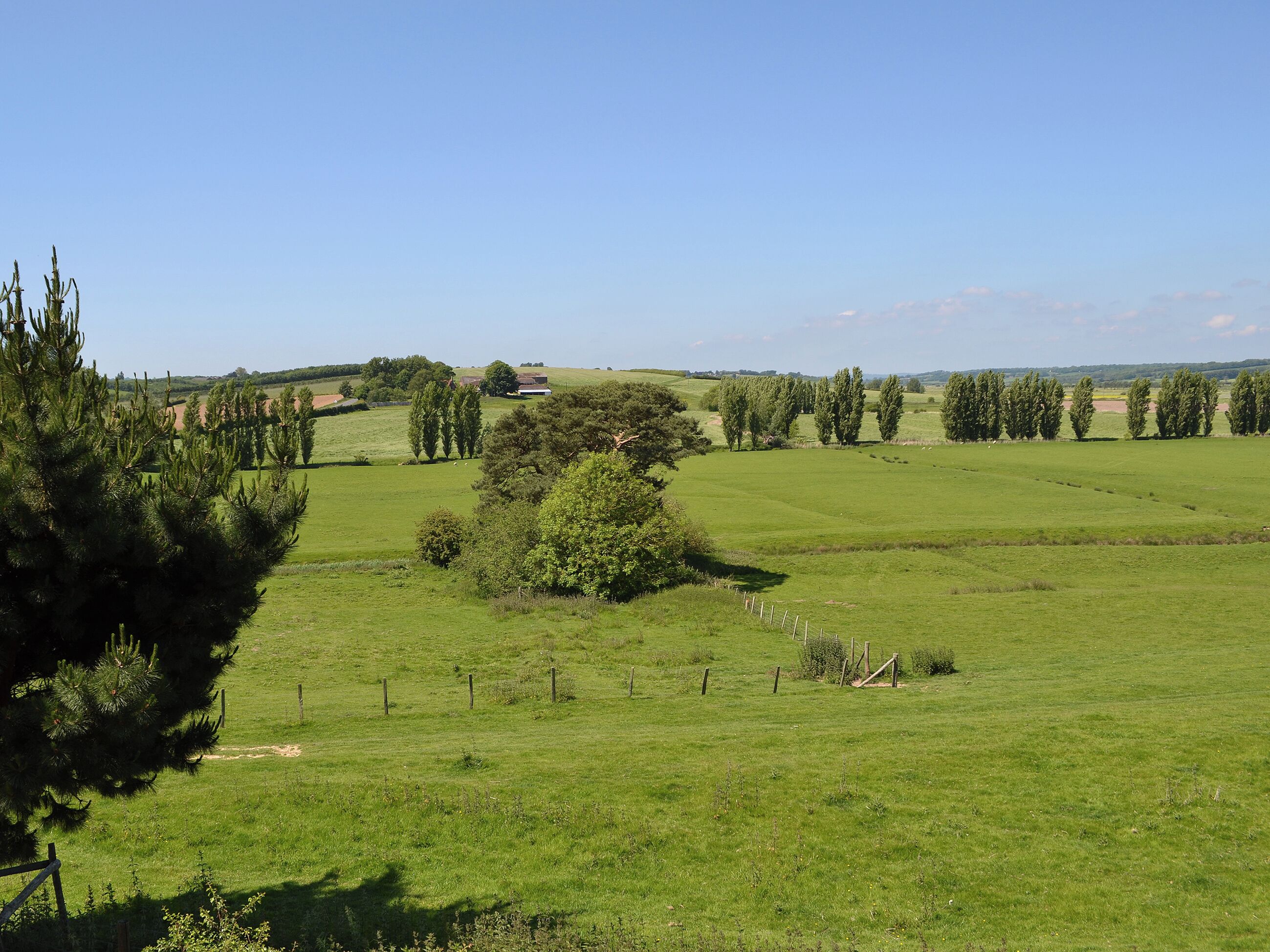 A rural landscape with green fields, trees, and a distant building.