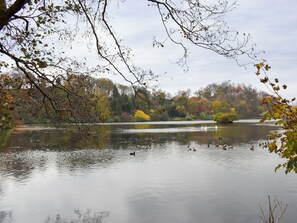 未分類的圖片，第 4 張，共 18 張，按鈕