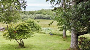 A grassy field with trees and a deer.