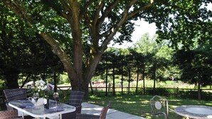 An outdoor patio with wicker furniture, a glass table, and a large tree providing shade. - 2 bedroom accommodation in Shobley, Ringwood (Shobley, Ringwood)