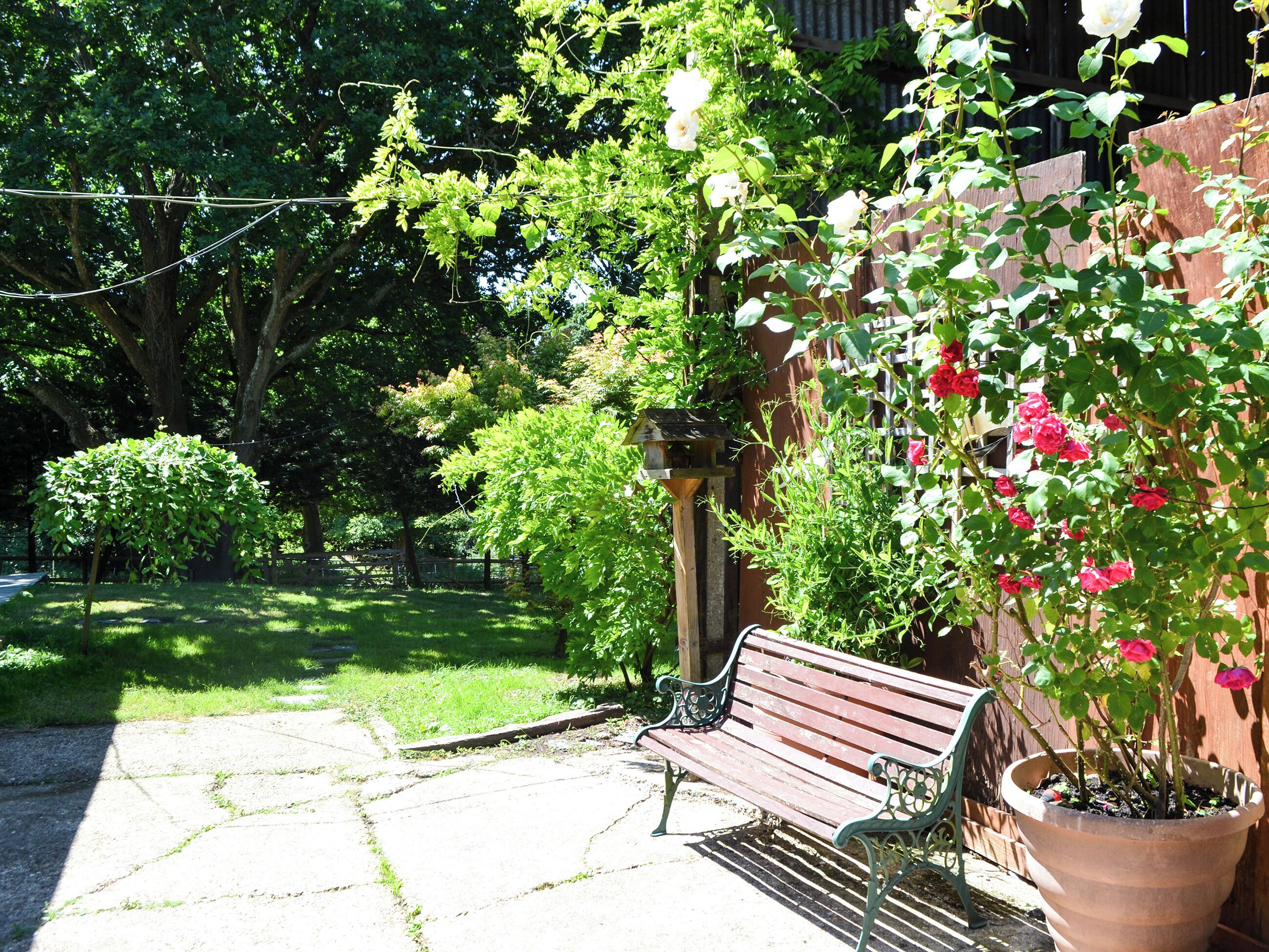 A wooden bench in a garden with a potted plant and a bird feeder.