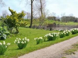 Terrein van de accommodatie
