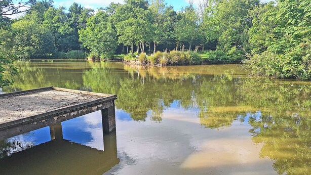 A wooden dock extending into a calm lake surrounded by dense greenery. - 2 bedroom accommodation in Woodacott, near Holsworthy (Woodacott, near Holsworthy)
