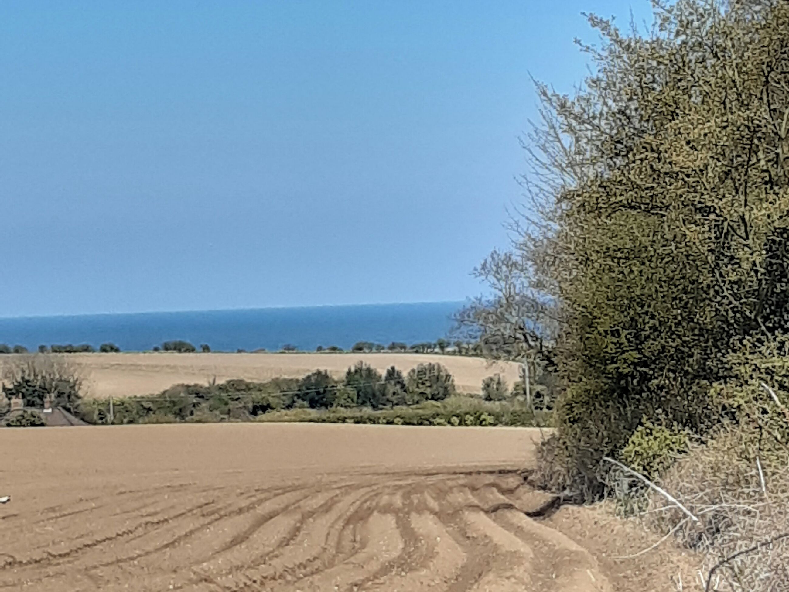 A rural landscape with a dirt path, fields, and a tree line.