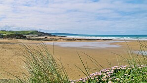Une plage avec du sable, de l’herbe et des fleurs.