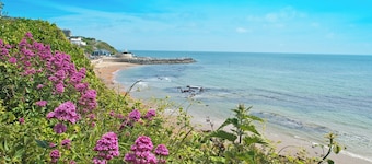1 soverom innkvartering i Wroxall, near Ventnor