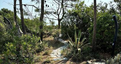 Les pieds dans l'eau, maison 4 couchages, lido de la Marana, situation unique.