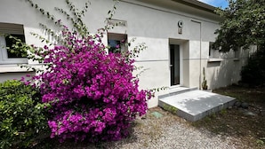 A building with a gravel driveway and a vibrant pink bougainvillea bush in front. - L'Eden Corse (Biguglia)