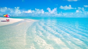 Plage à proximité, chaises longues, serviettes de plage