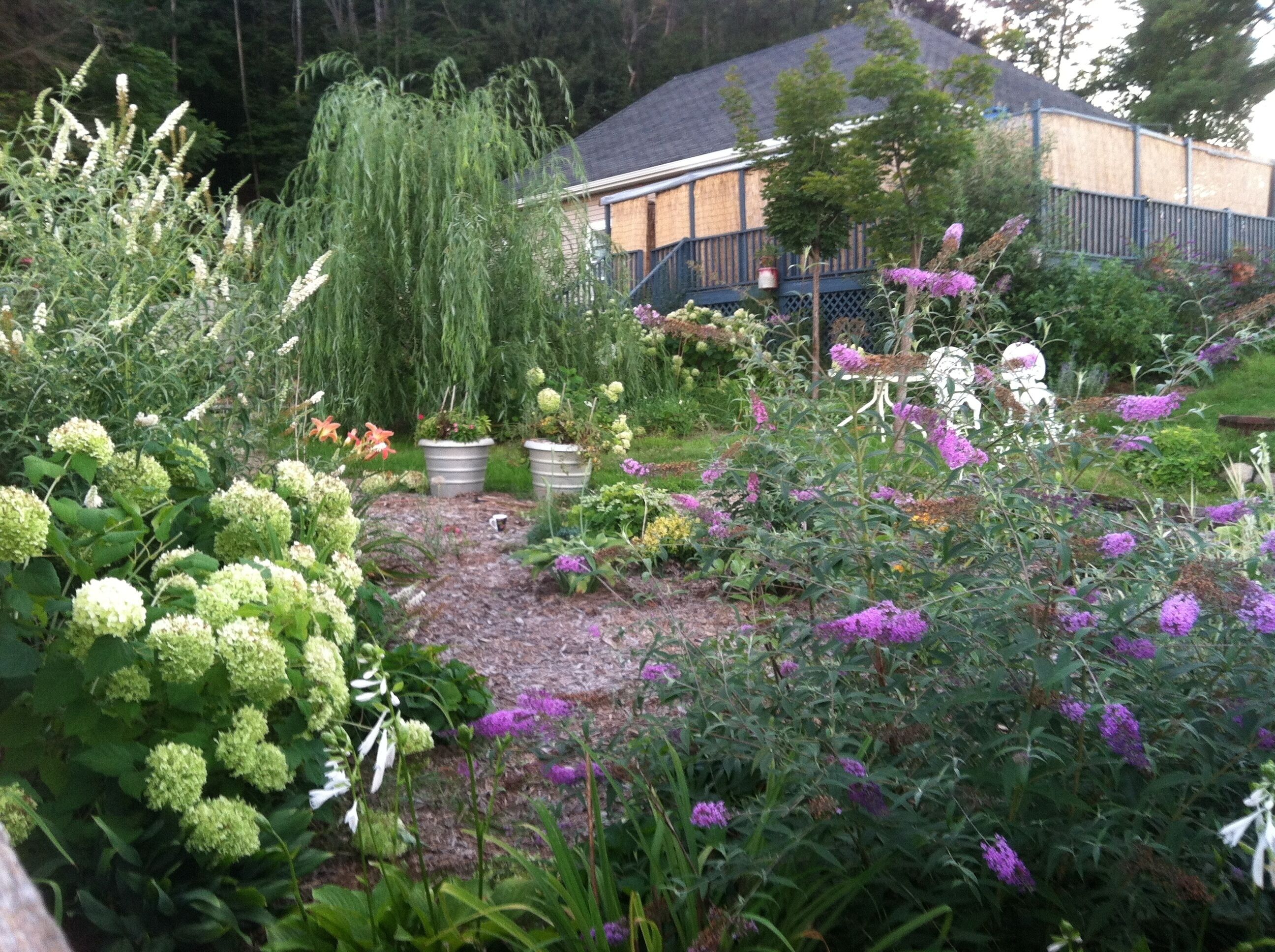 Parco della struttura