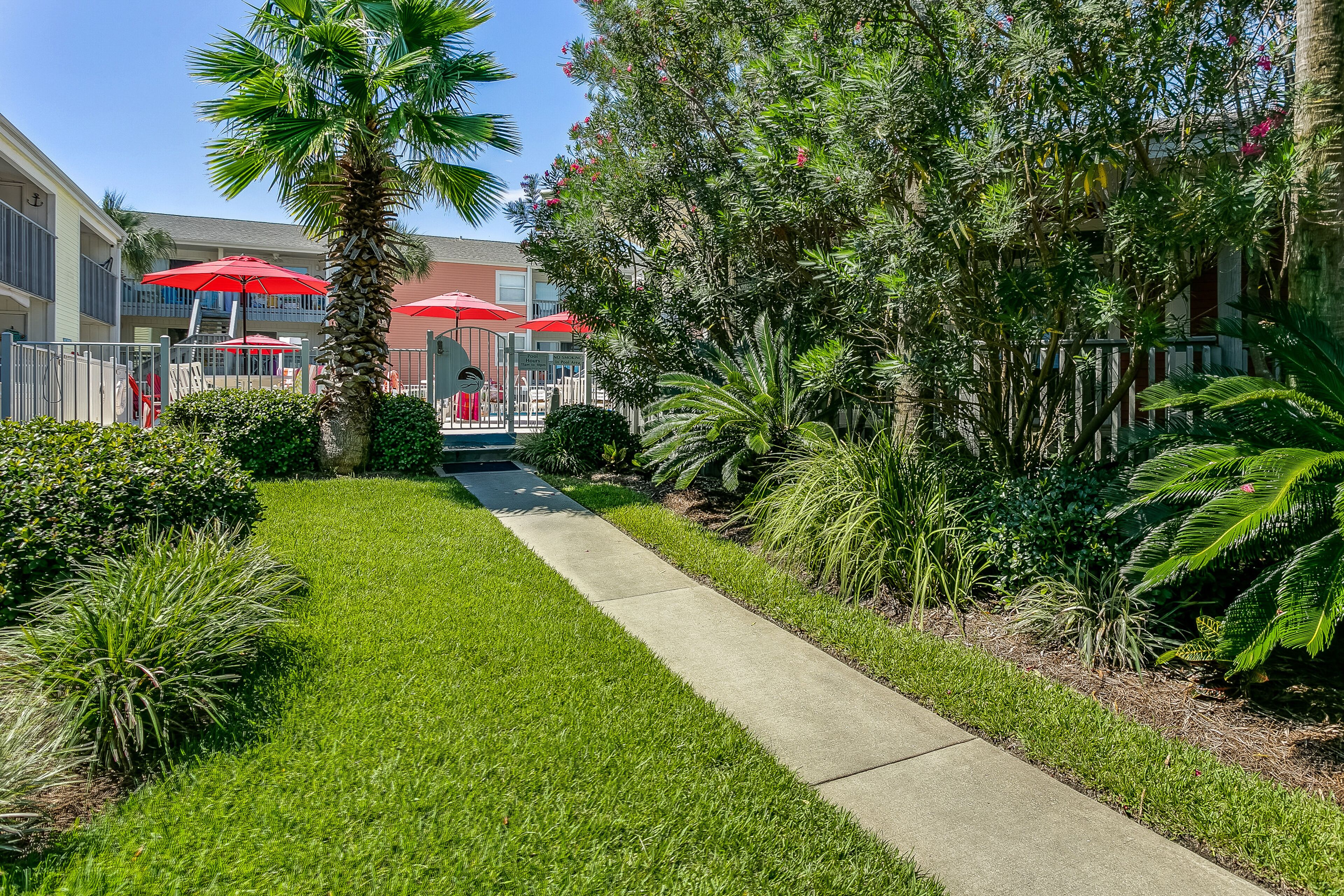 A well-maintained garden with a concrete pathway, palm trees, and red umbrellas.
