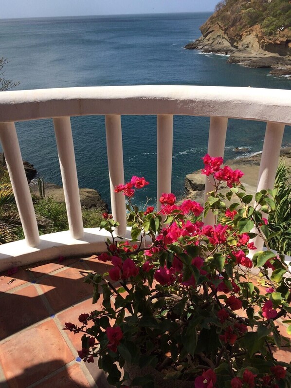 Property grounds - Spectacular views over the ocean at Casa Ezulwini (Tola)