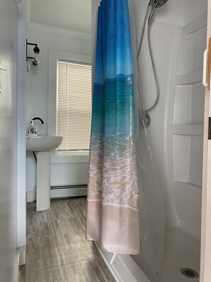 Combined shower/bathtub, toilet paper
