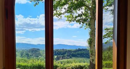 Tuscan Villa with Panoramic View - near Florence, Siena & Arezzo