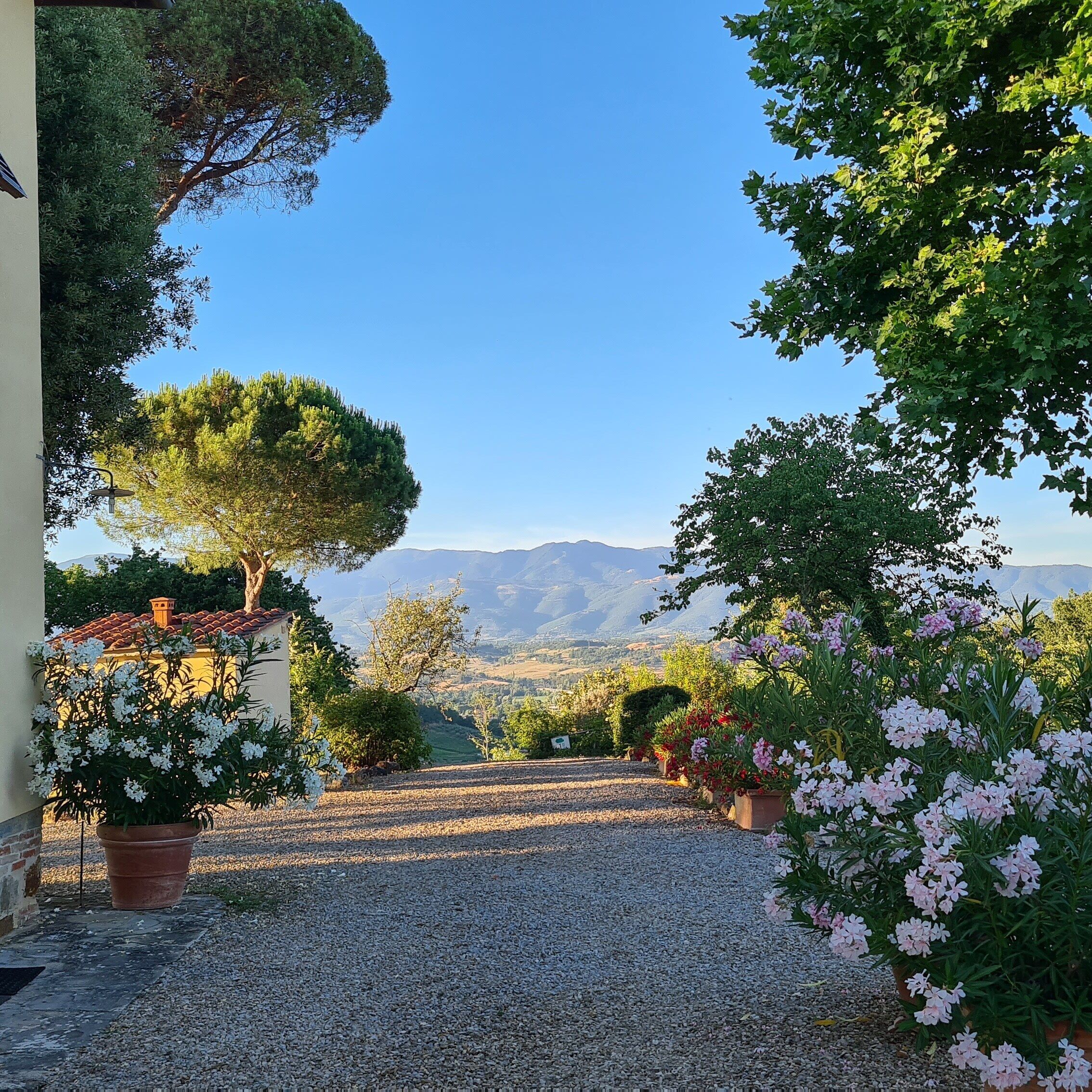 Parco della struttura