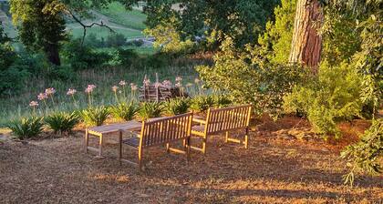 Tuscan Villa with Panoramic View - near Florence, Siena & Arezzo