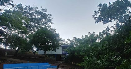 Tropical Heaven Bajamar special price for January and the first of February