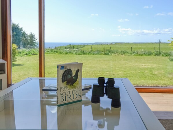 A book titled "RSPB Handbook of Scottish Birds" on a glass table with binoculars beside it, overlooking a grassy field and a fence.