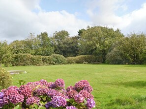 A grassy garden with hydrangea flowers and a wooden bench. - 5 bedroom accommodation in Llanfaethlu, Anglesey (Llanfaethlu, Anglesey)