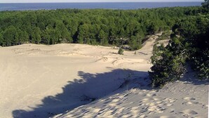 Nära stranden