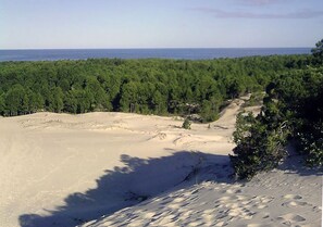 Nær stranden