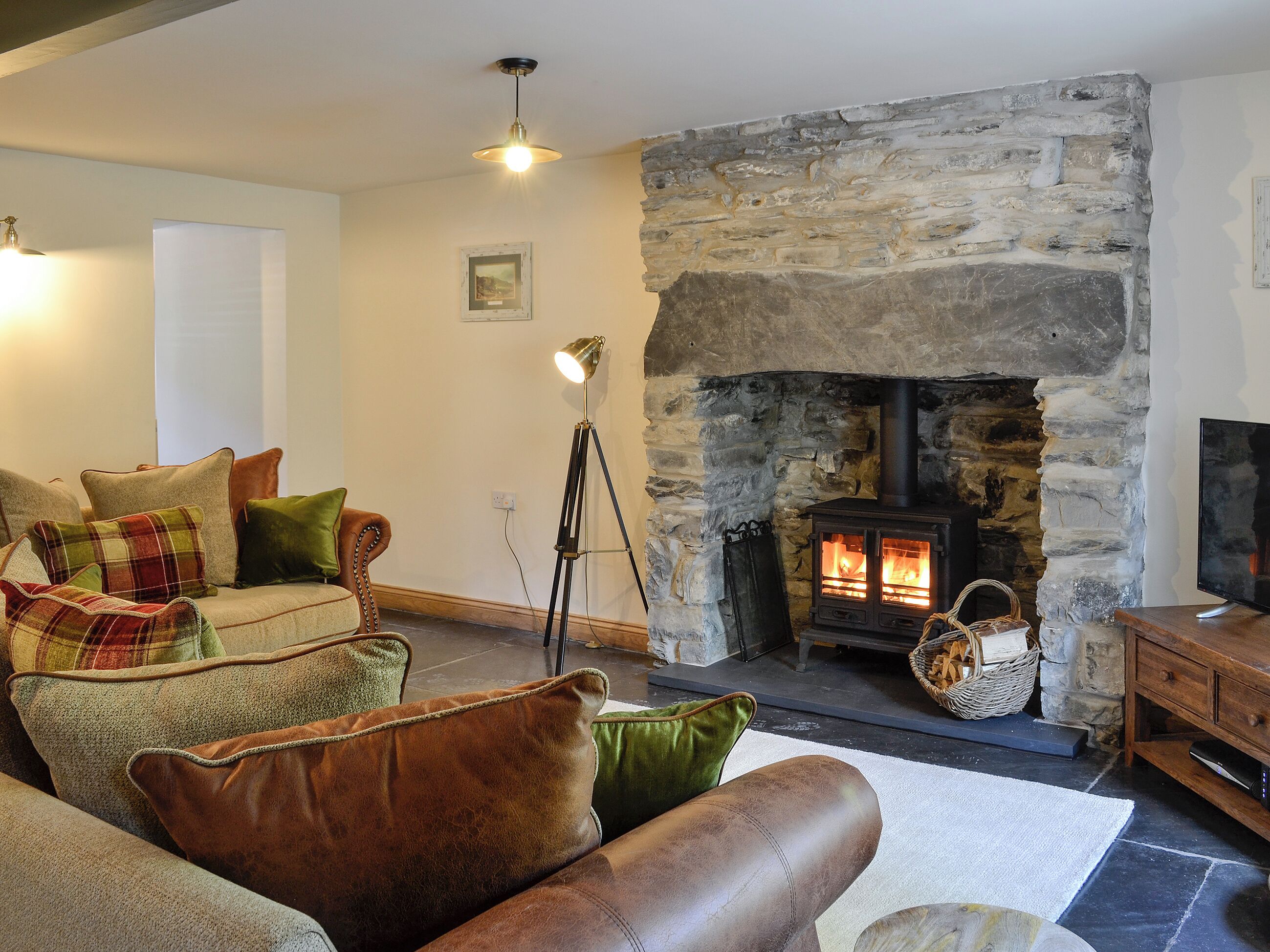 TV, fireplace