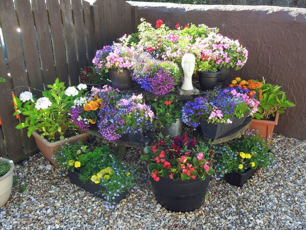 Property grounds - 1 bedroom accommodation in Pen-y-Sarn, near Amlwch (Pen-y-Sarn, near Amlwch)