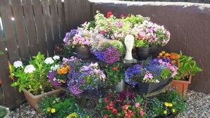 En blomsterrig buket med mange farverige blomster.