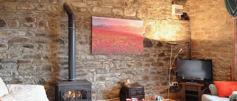 TV, fireplace