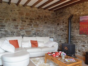 Televisión, chimenea